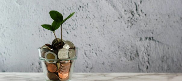 green plant in clear glass cup