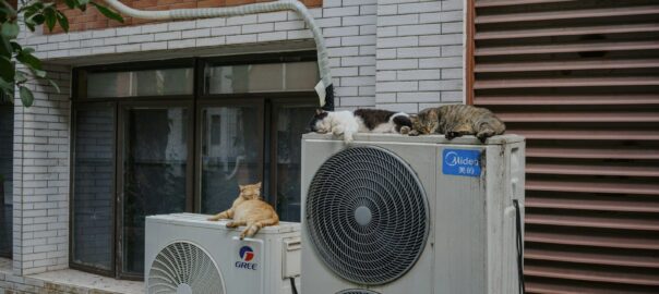 Cats relax on top of air conditioning units.