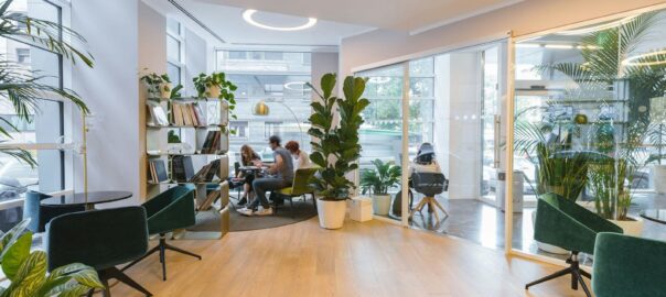 modern lounge interior with plants and chairs