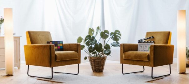 a living room with two chairs and a plant